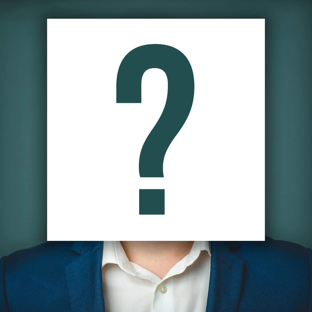 lina maya net worth - Article 3